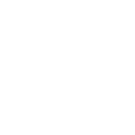 Colorado Probate Law Seal